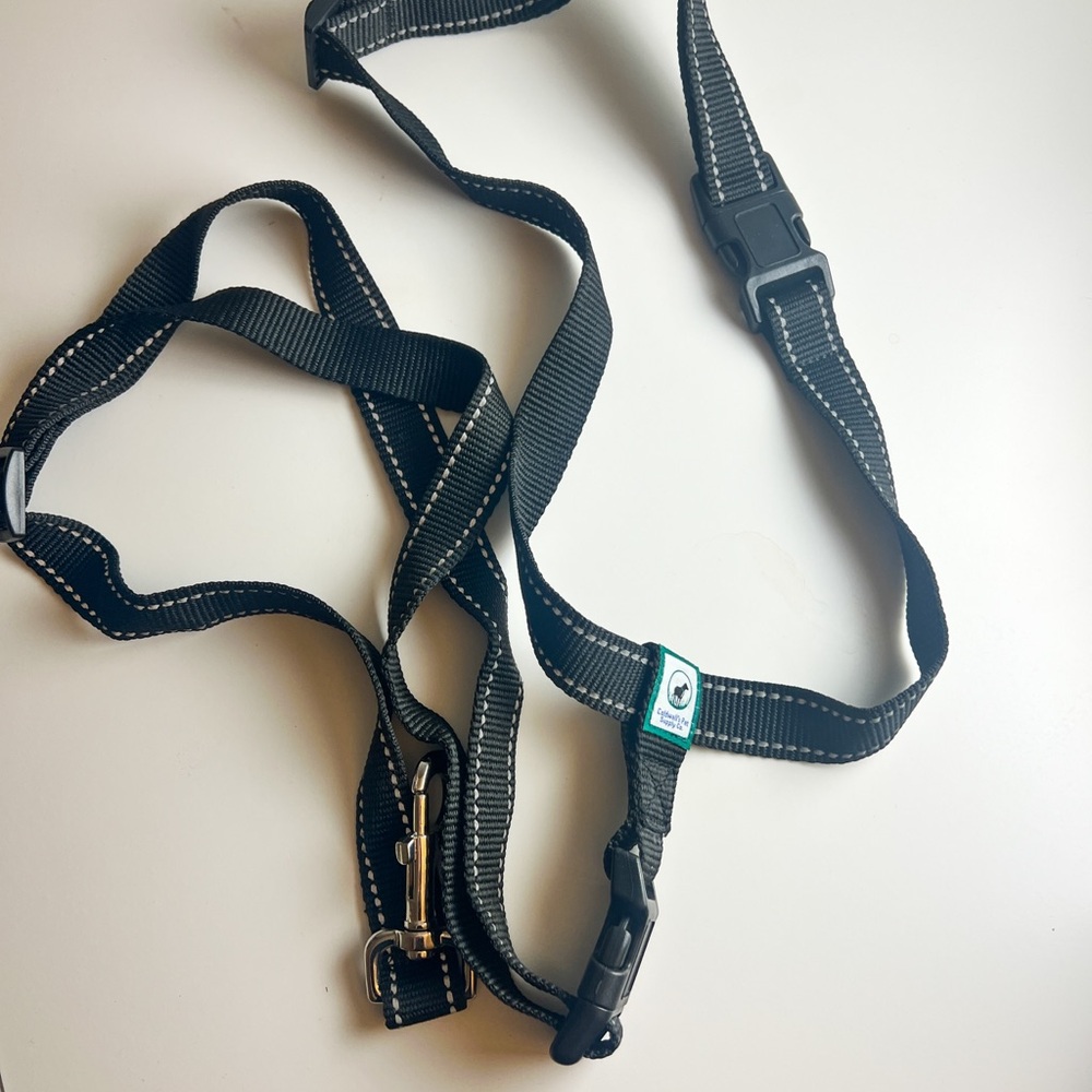 Black Dog Harness with Reflective Stitching